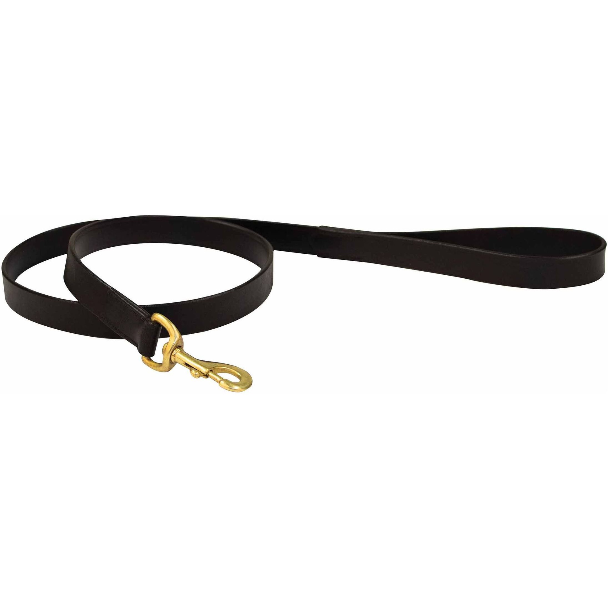 Weatherbeeta Leather Dog Lead - Black